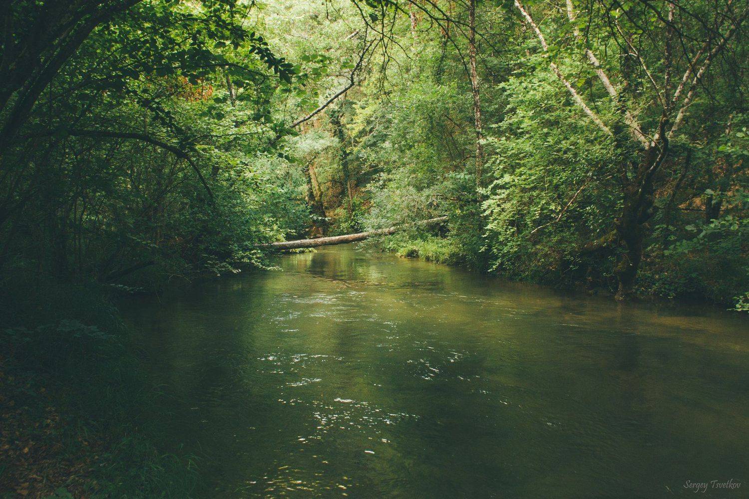 пейзаж, природа,  nature, landscape, Цветков Сергей