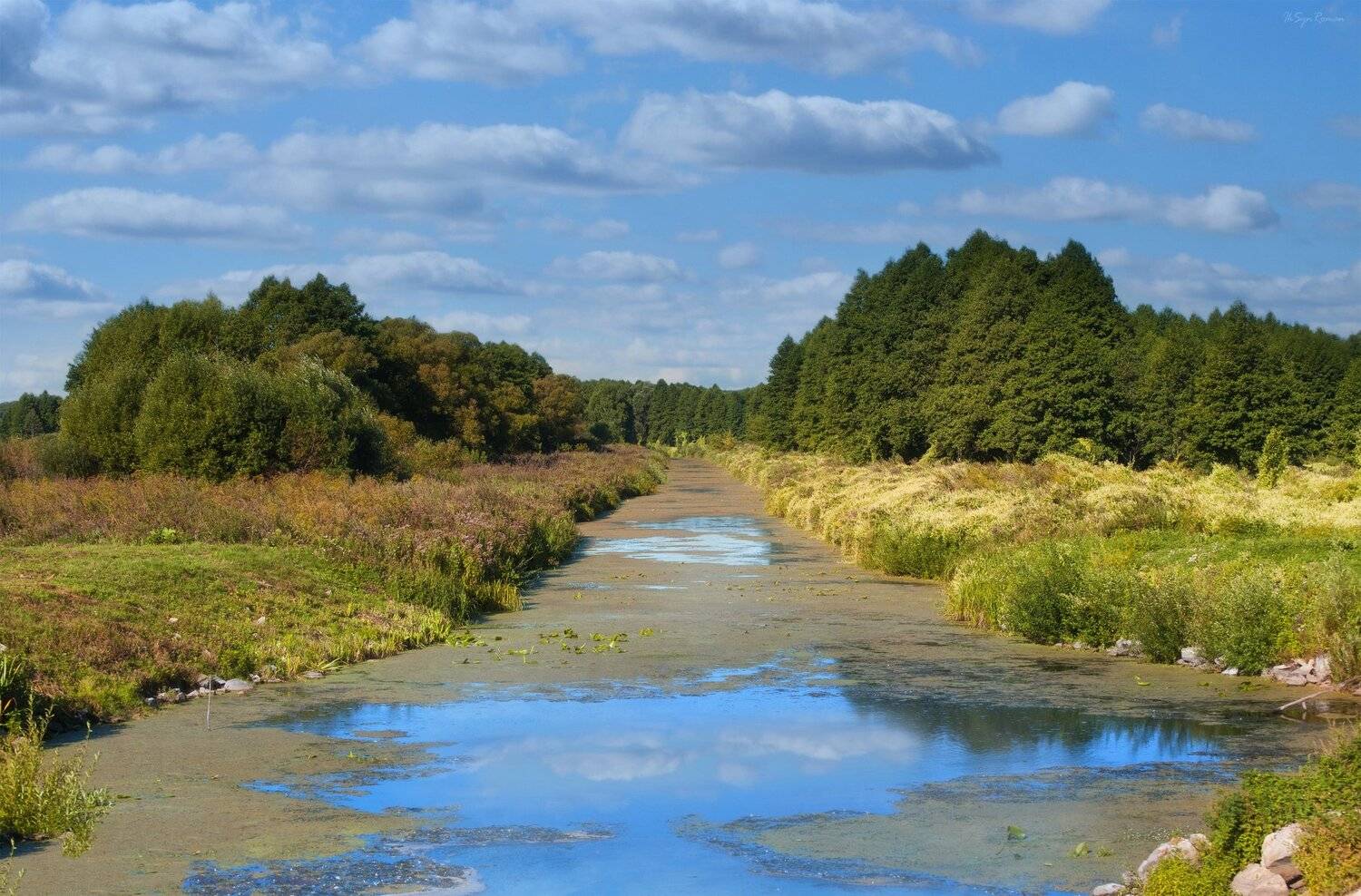 лето,речка,луг,лес, Roma Krasov ( Chitinskiy )