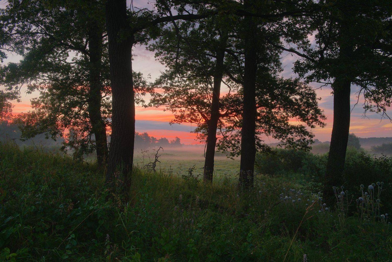 , Сергей Ершов