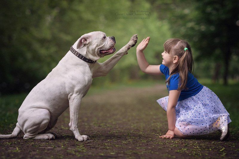 High Five! (Alice and Lada) фото превью