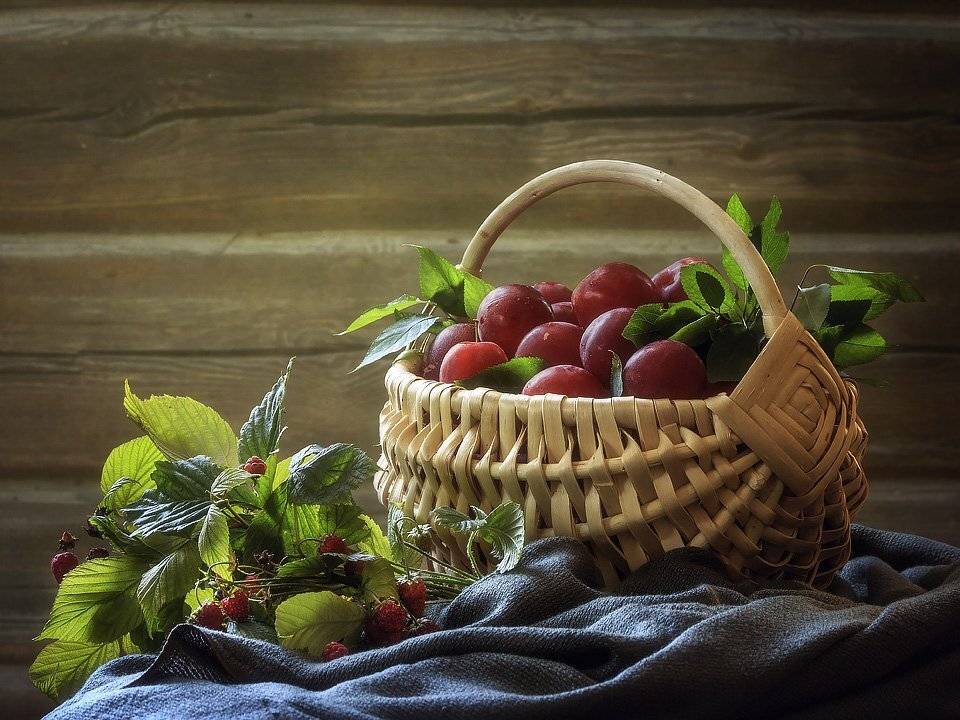 натюрморт, художественное фото, лето, урожай, дача, малина, корзина, сливы, Ирина Приходько