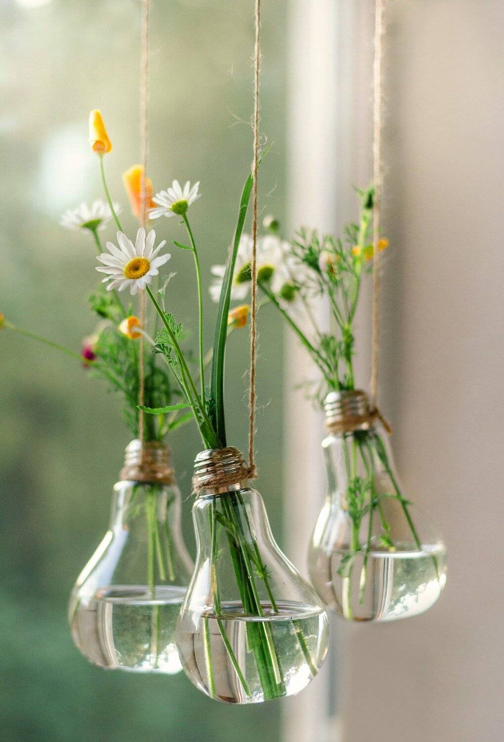 , Чернякова Анна