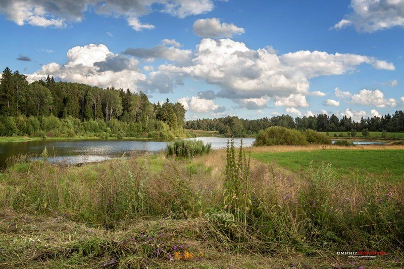 пейзаж,природа,лето,поле,озеро,облака,небо, Среди полей Подмосковья. фото превью