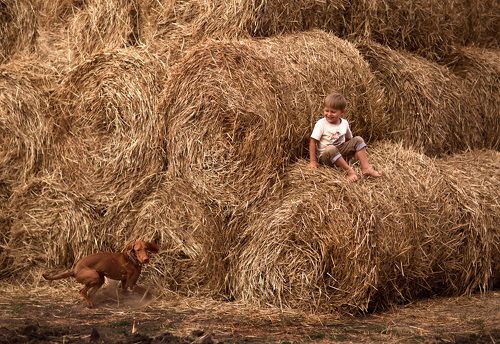 Счастливая пора...