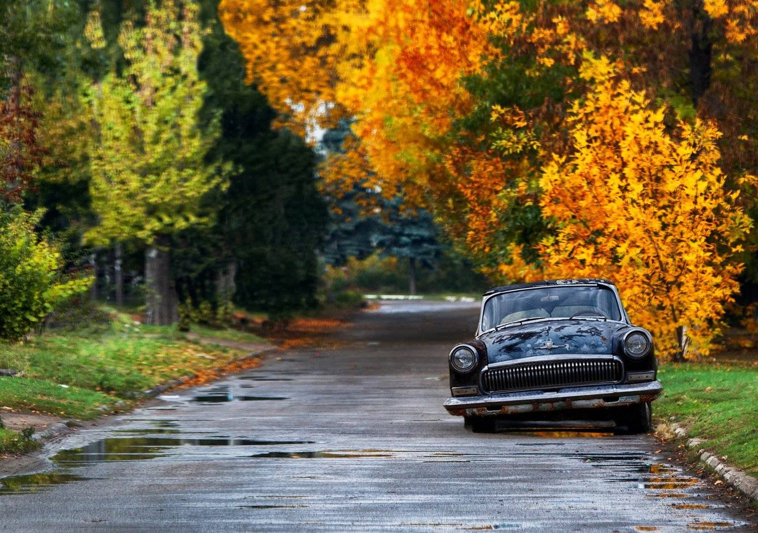 авто, город, осень, дождь, листья, Никита Сердечный