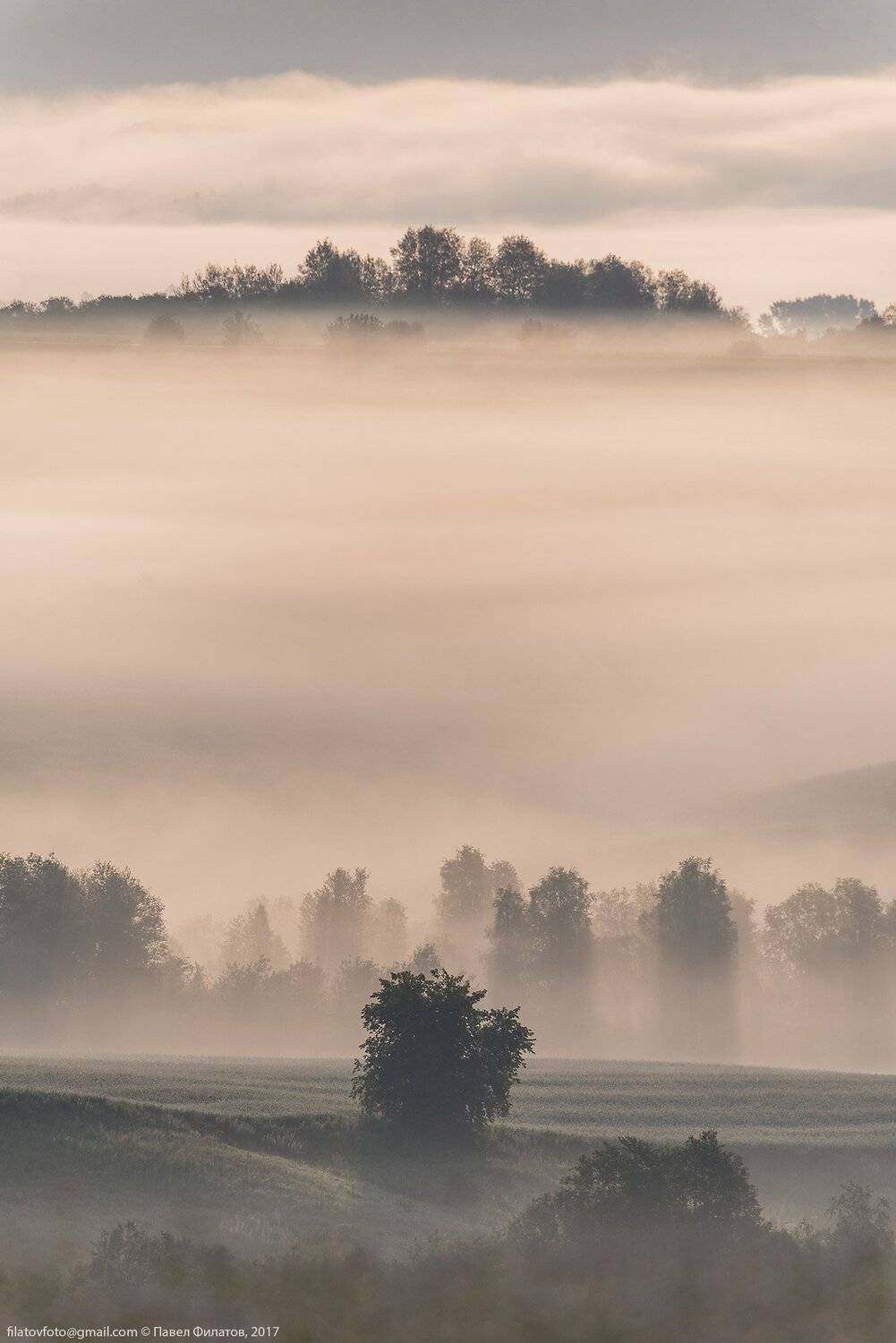 алтай, сибирь, siberia, лето, предгорья, altai, вечер, луга, гречиха, туман, Павел Филатов
