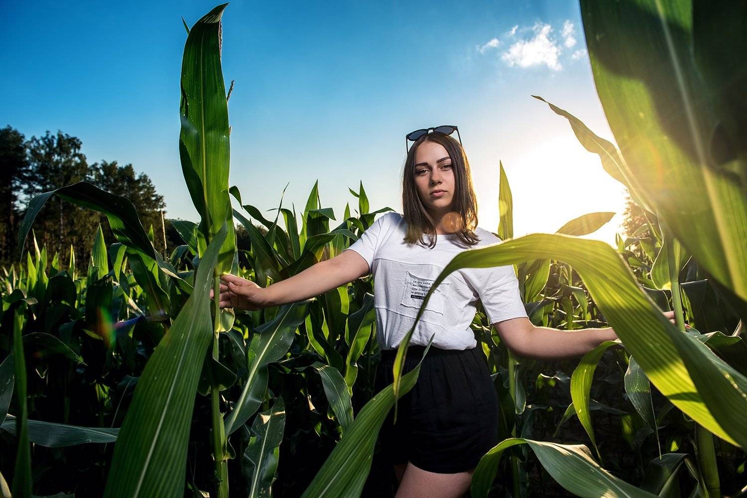 , Алферов Александр