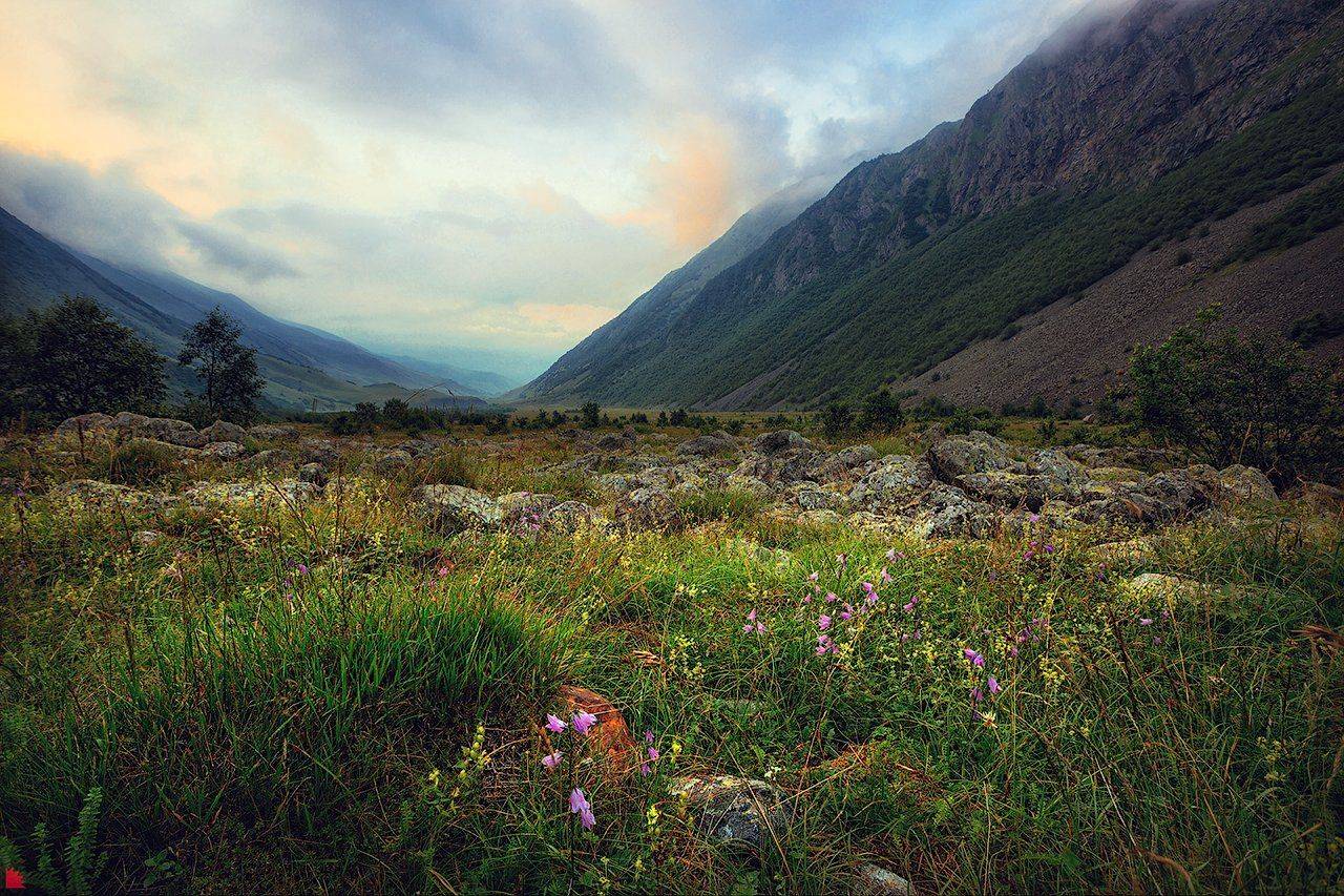 , Осипов Ёжъ Александр
