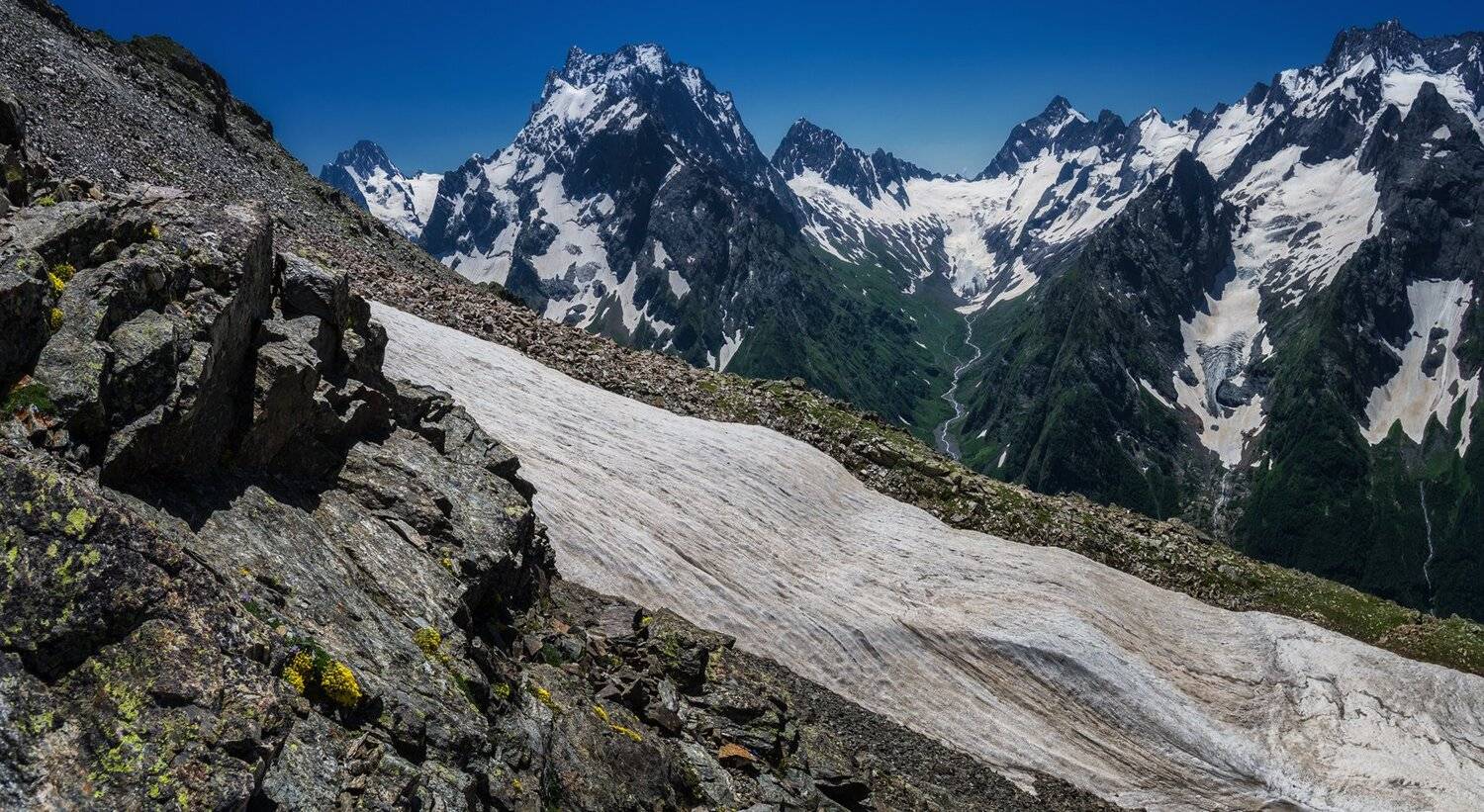 , Игорь Мелекесцев