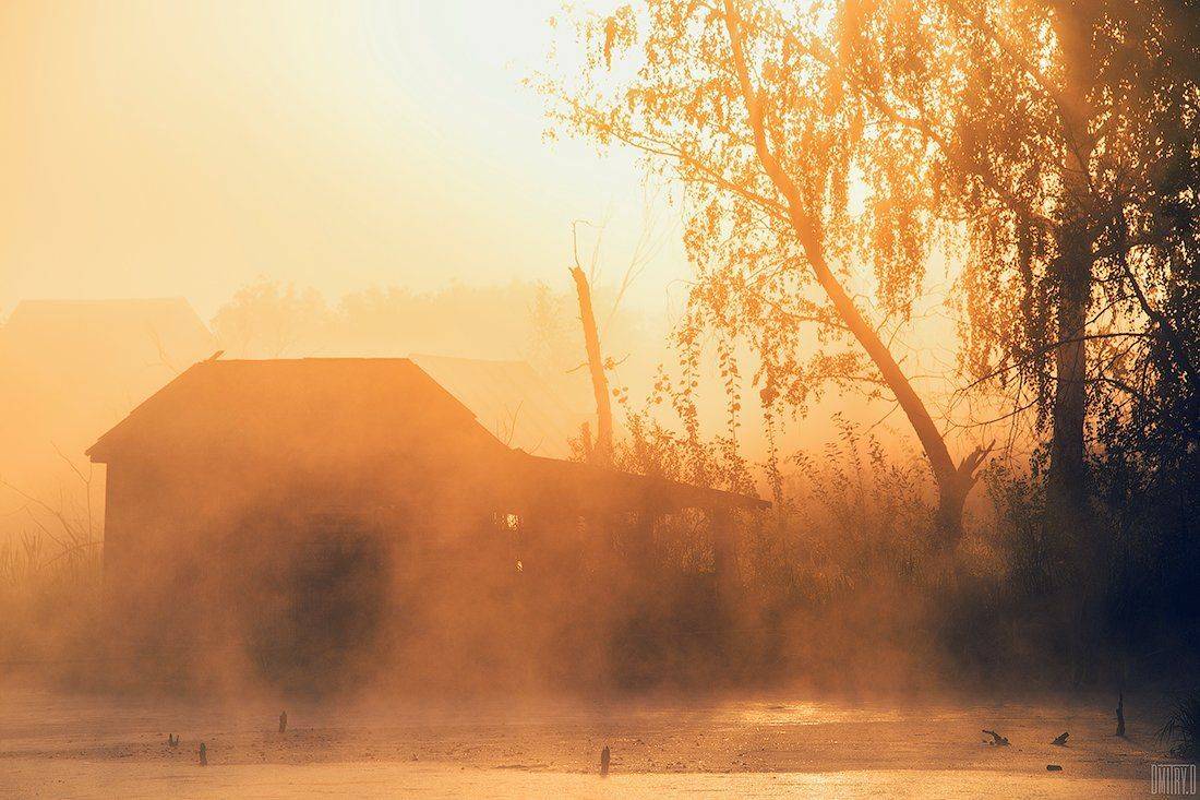 , Дмитрий Доронин