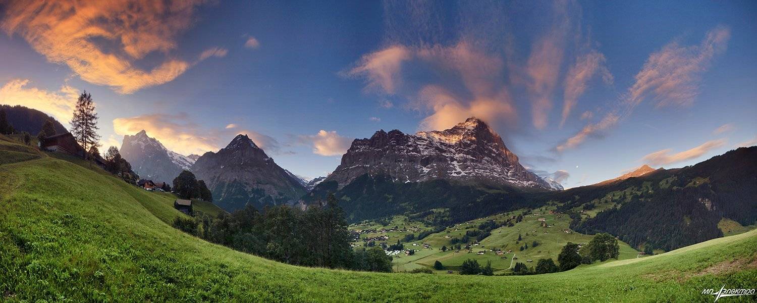 swiss, Матвеев Николай