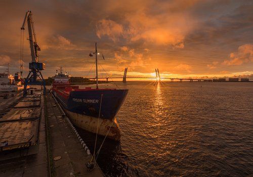 На Канонерском острове.