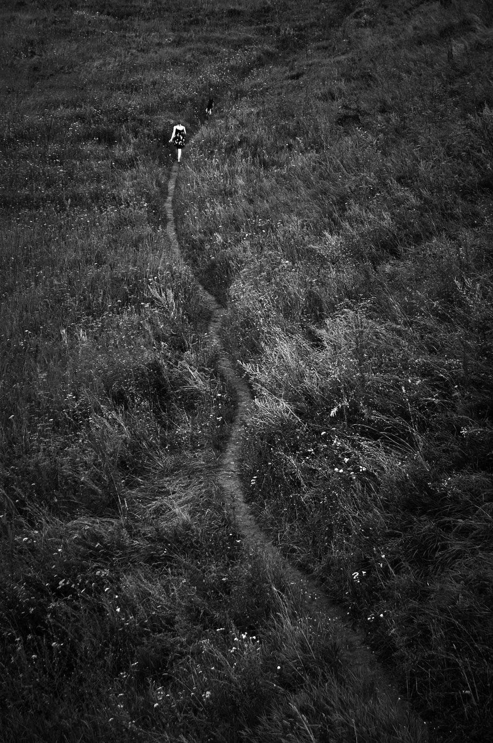 , Медведев Александр