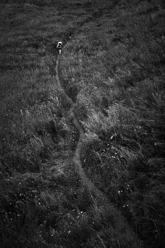 Blackfield фото превью