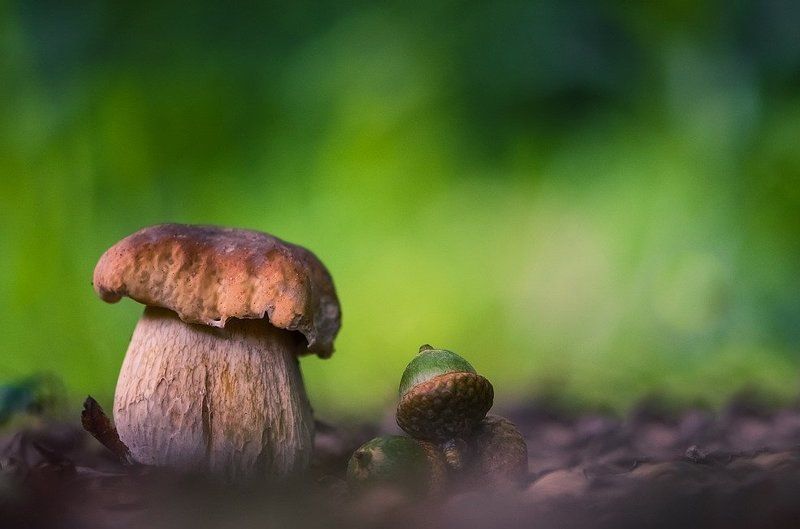 Тихая охота фото превью