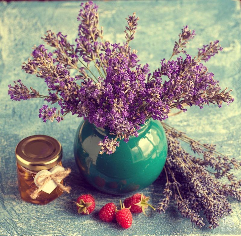 Lavender II фото превью