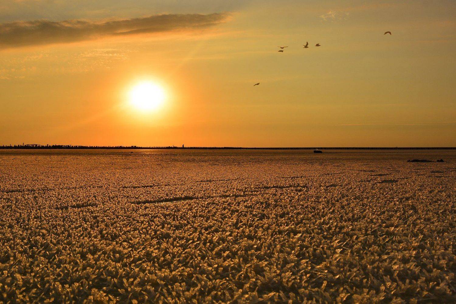 сиваш, закат, солнце, краски, соль, кристаллы соли,солончак, соленое озеро, Дмитрий Колисниченко