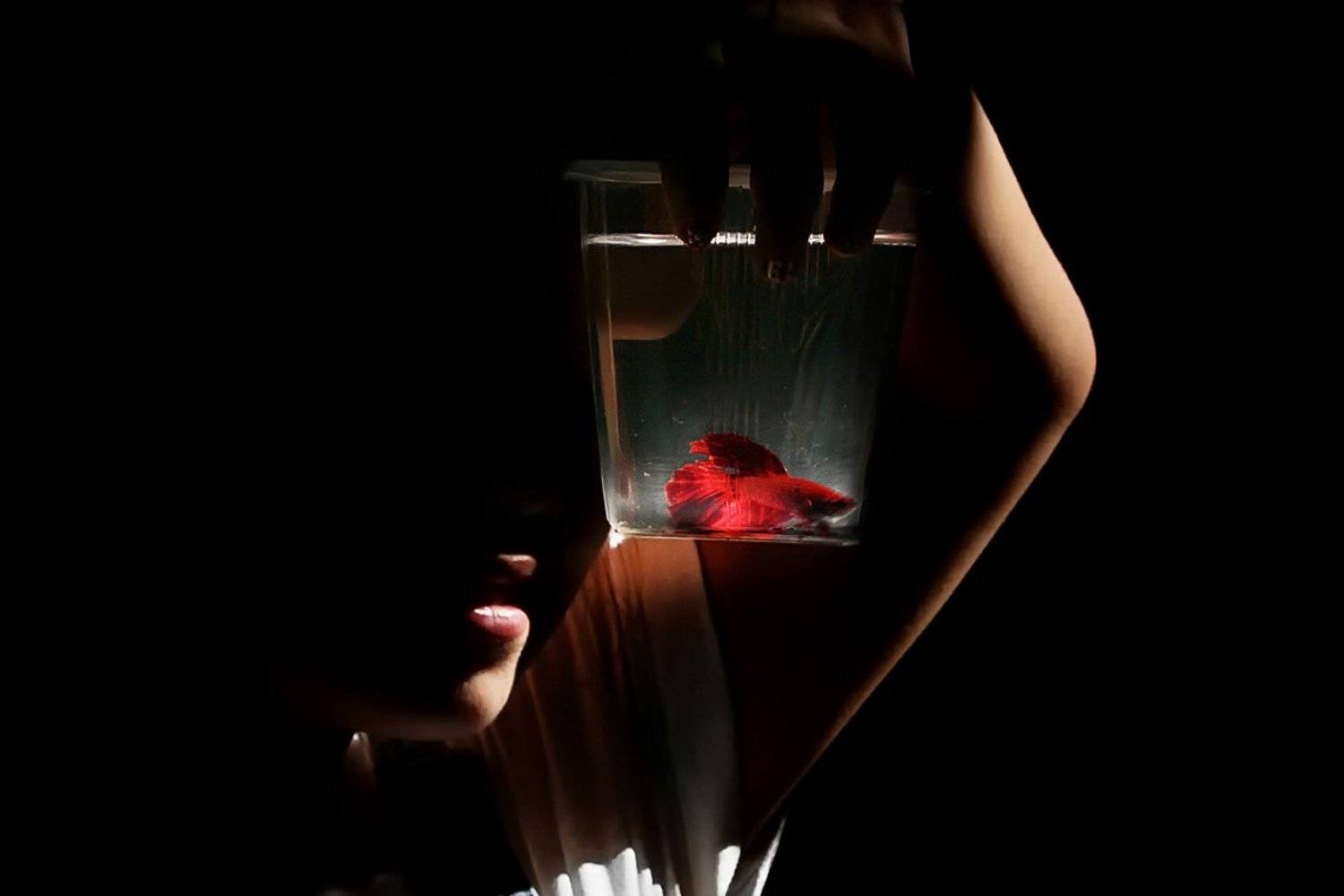 свет, рыбка, человек, Рита Гадар