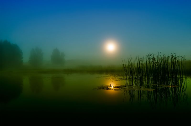 dawn,moonlight,reflaction А зори здесь тихие... фото превью