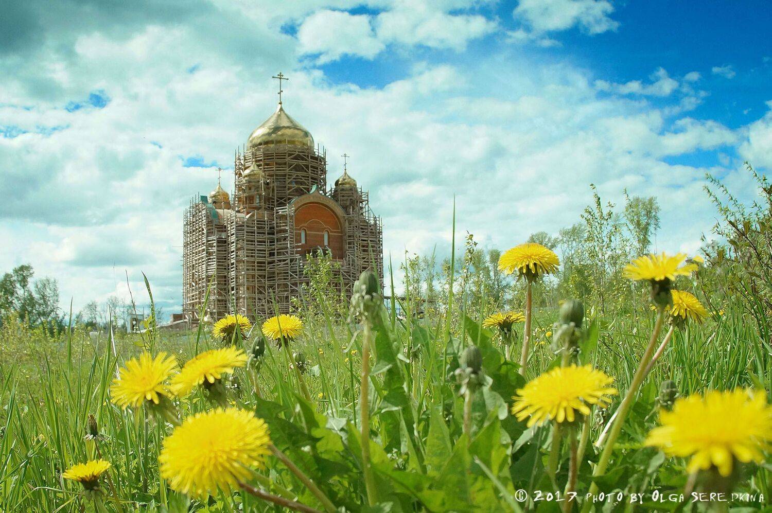 , Ольга Серёдкина