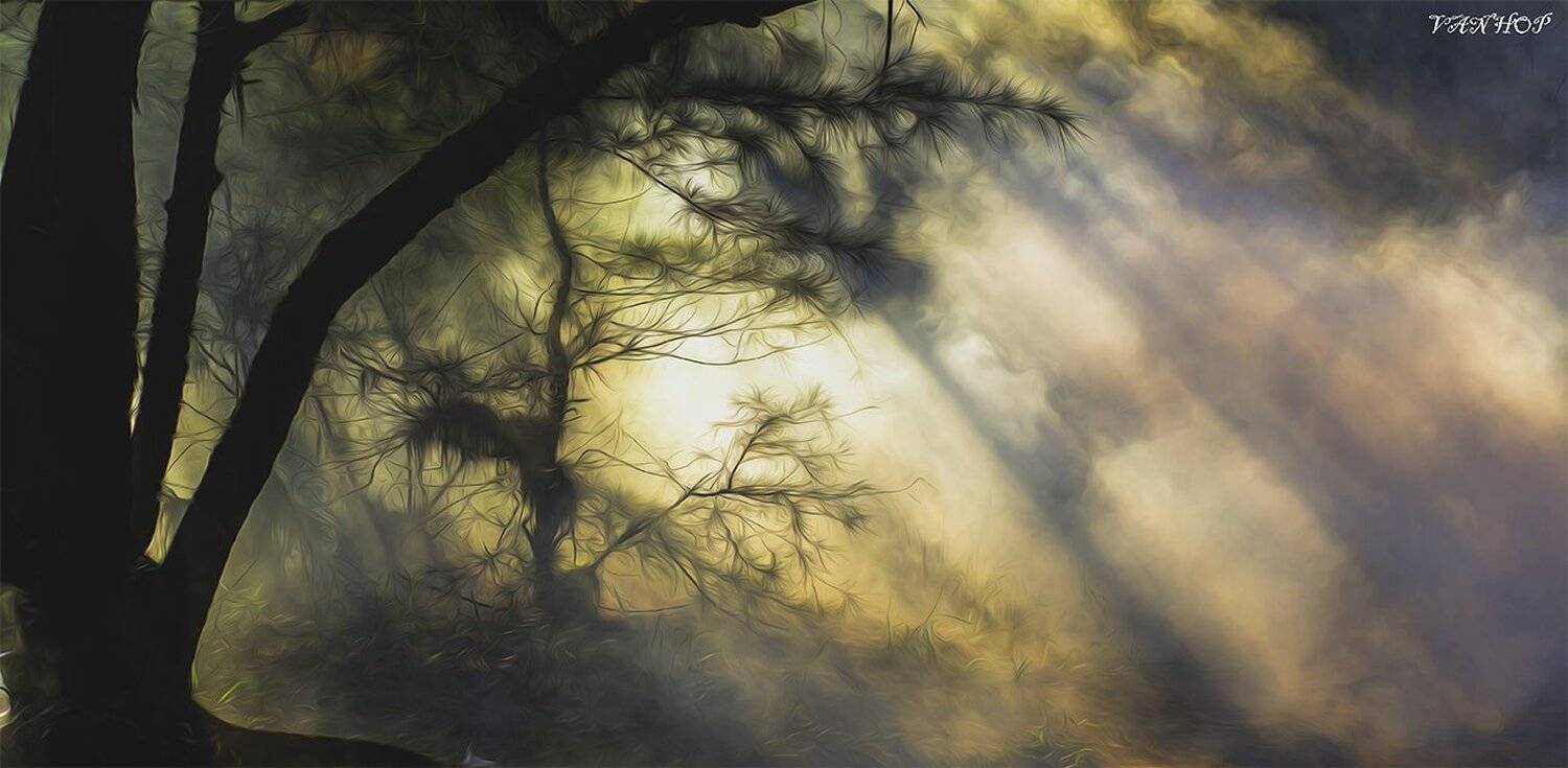 , vannguyenhop29@gmail.com