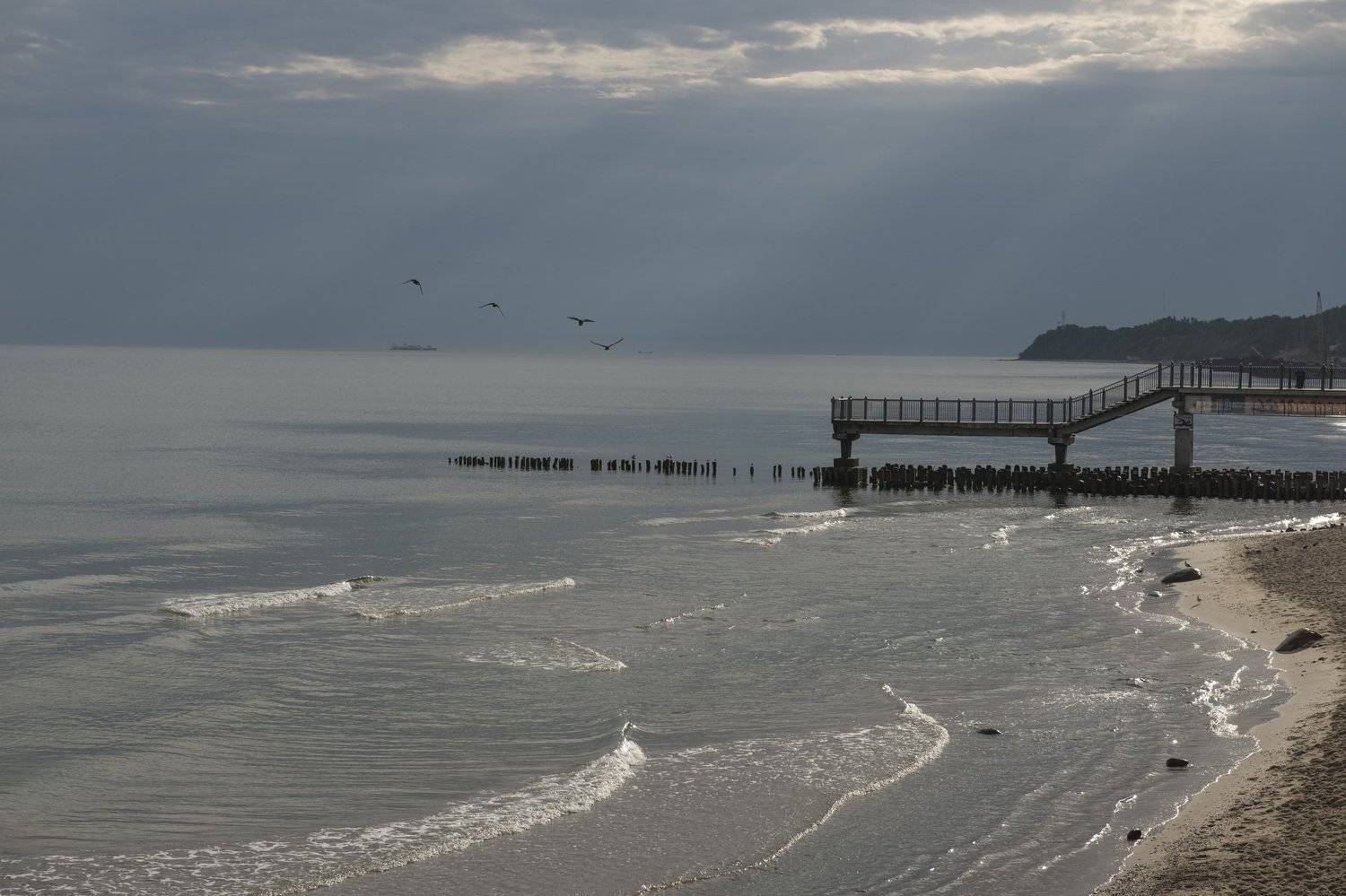 светлогорск, Ирина