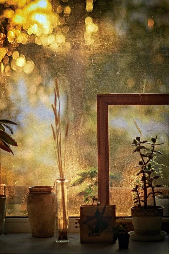 , Владимир Симакин