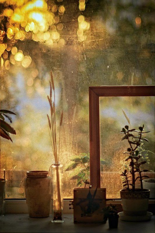 «август» [ сегодня, 5. 44 ] фото превью