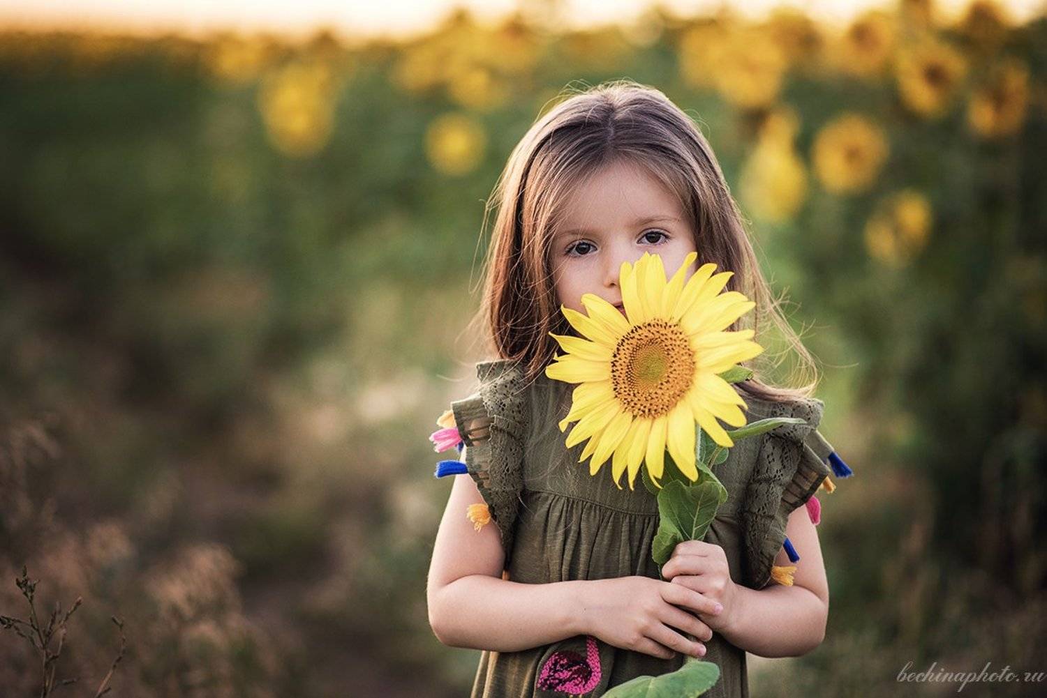 , Диана Бечина