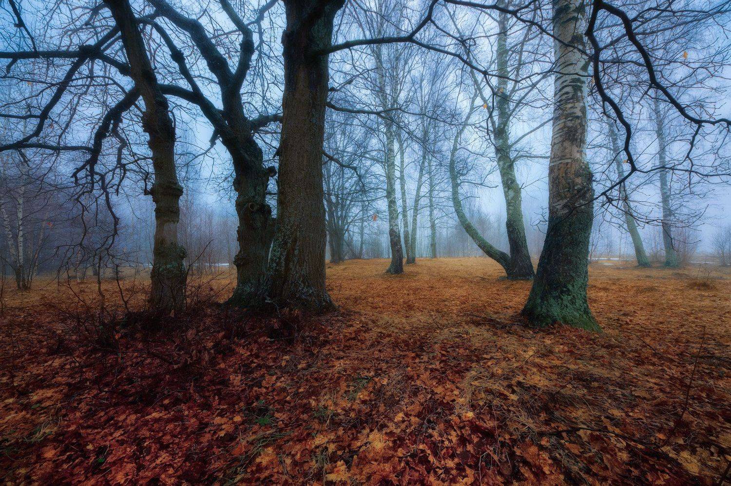 , Сергей (Bekr)