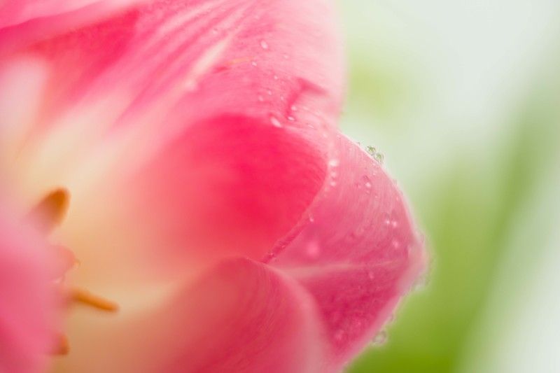 Утро фото превью