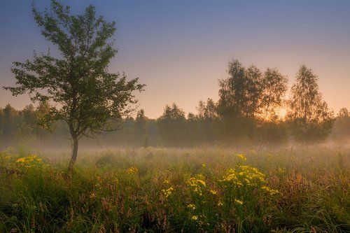 Мгновения рассвета