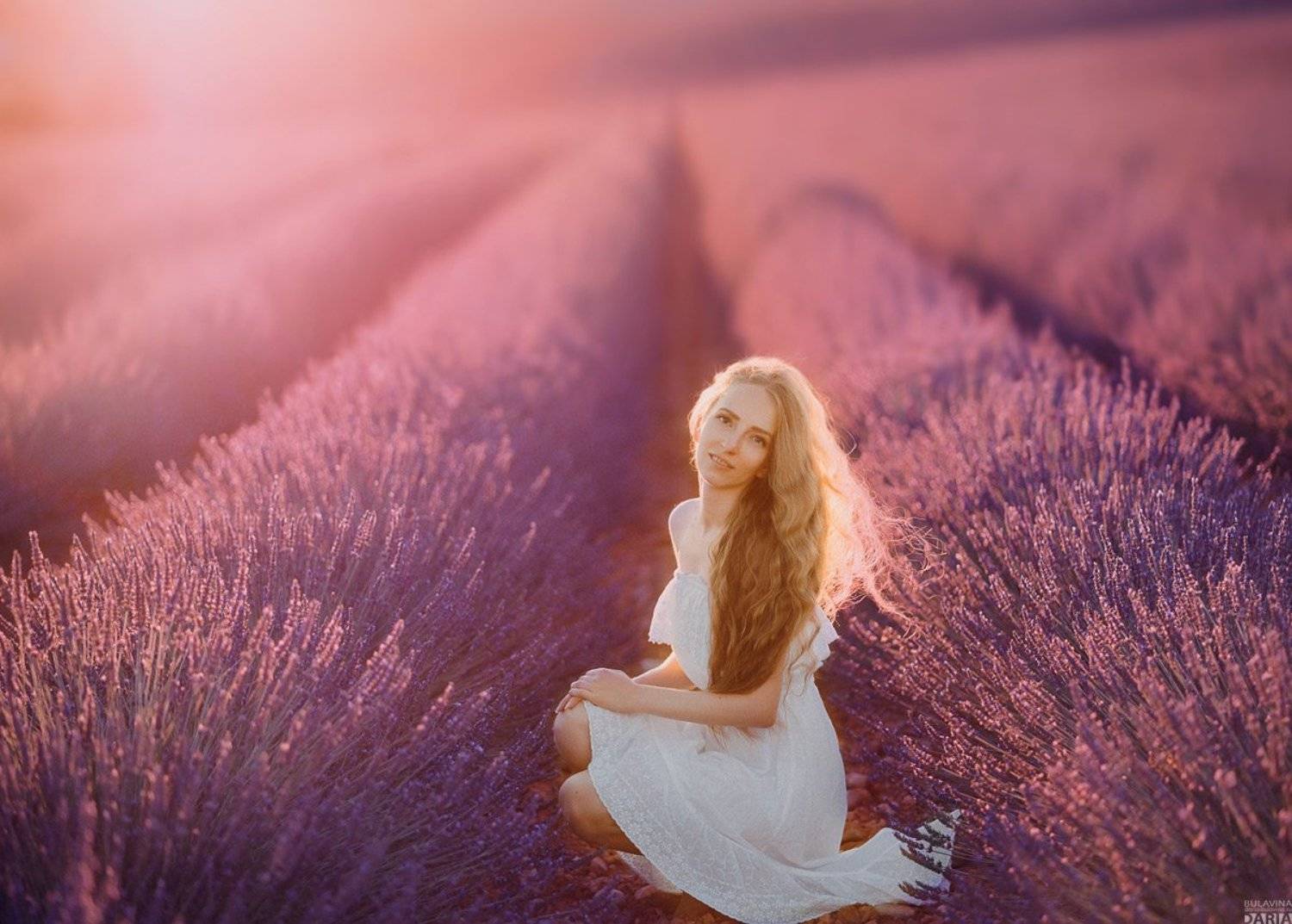 лавандовое поле,  лаванда,  прованс,  булавина,  фрацния , Дарья Булавина
