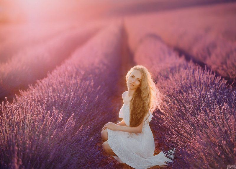 лавандовое поле,  лаванда,  прованс,  булавина,  фрацния  Лаванда фото превью