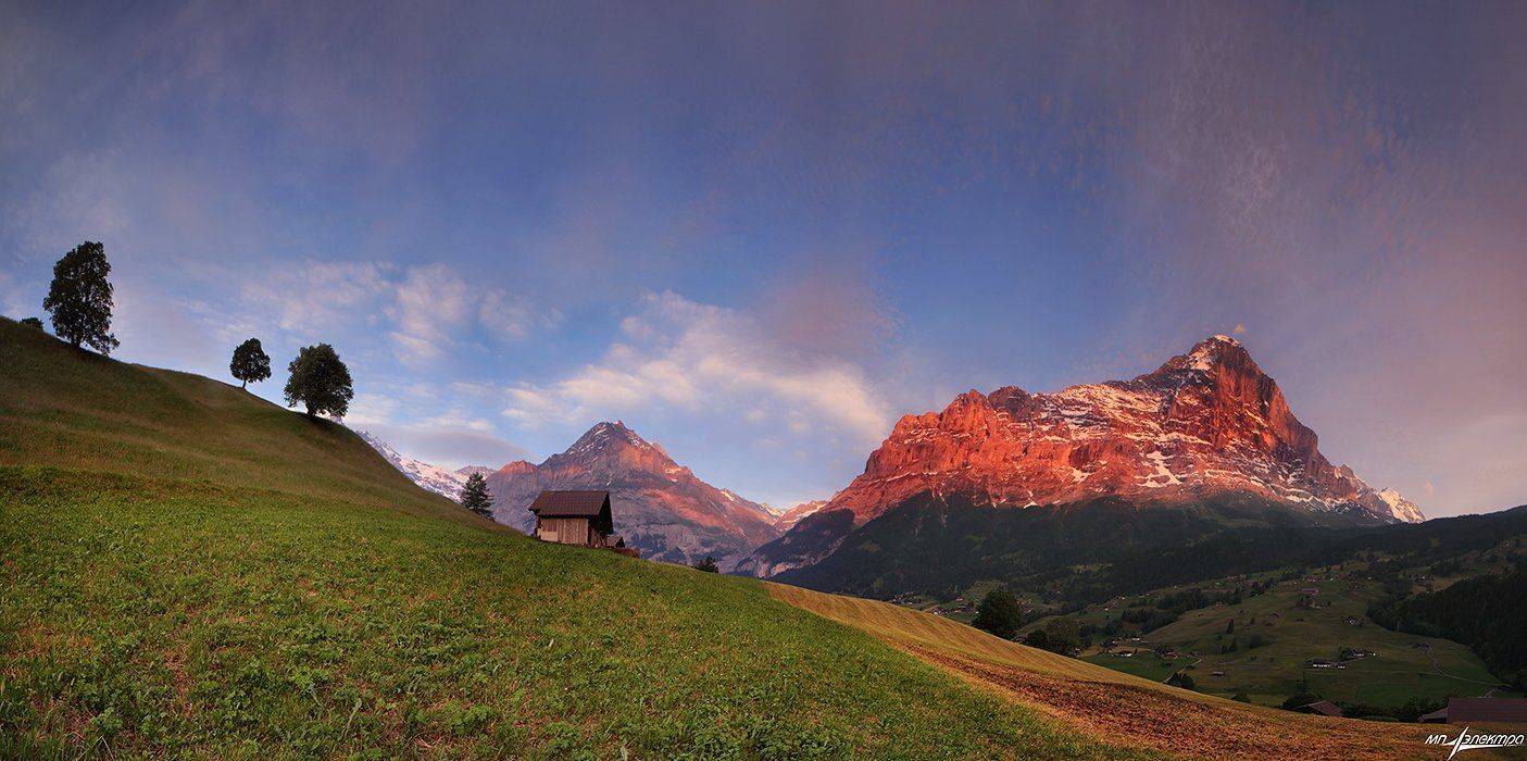 , Матвеев Николай