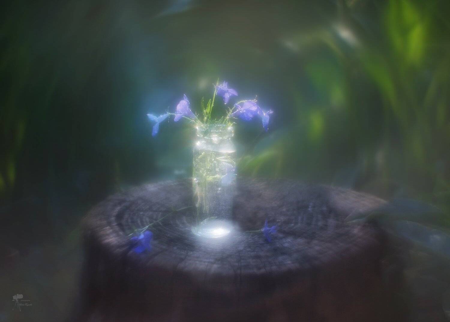 , Инна Сухова