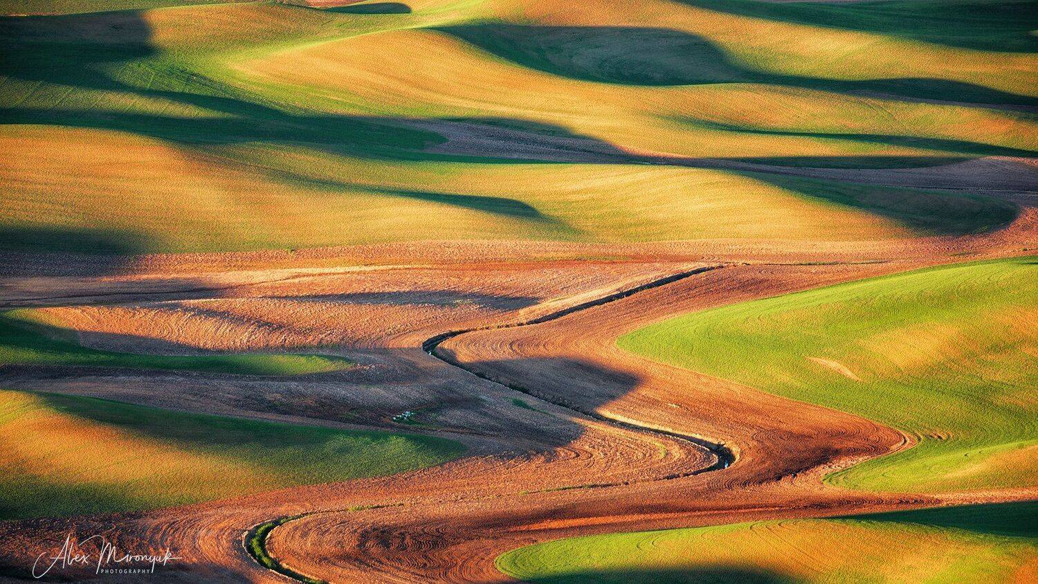 сша, вашингтон, палуз, поля, холм, пшеница, рожь, овес, рапс, абстракция, рассвет, закат, волны, пастораль, Alex Mironyuk
