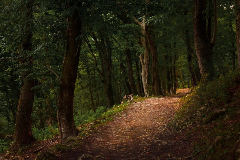 Горные тропки фото превью