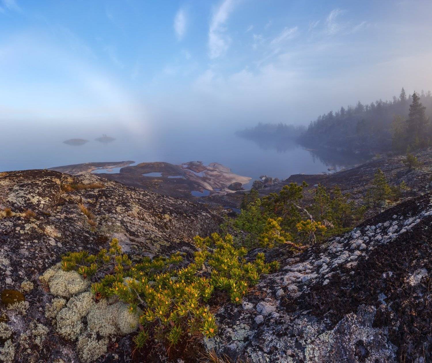 Ладога, ладожские шхеры, Карелия, белая радуга, туманная радуга, бонсай, ягель, Арсений Кашкаров