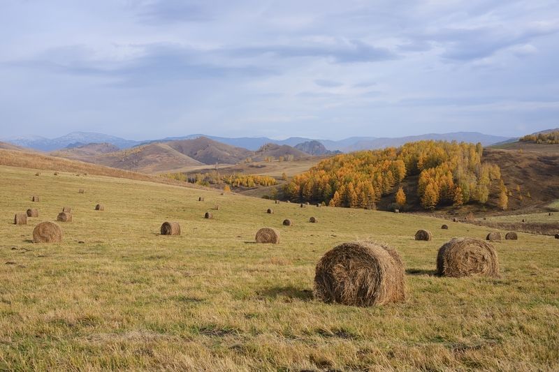 Осенний пейзаж фото превью