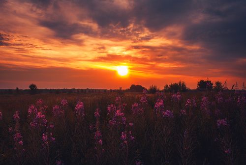 Летняя магия