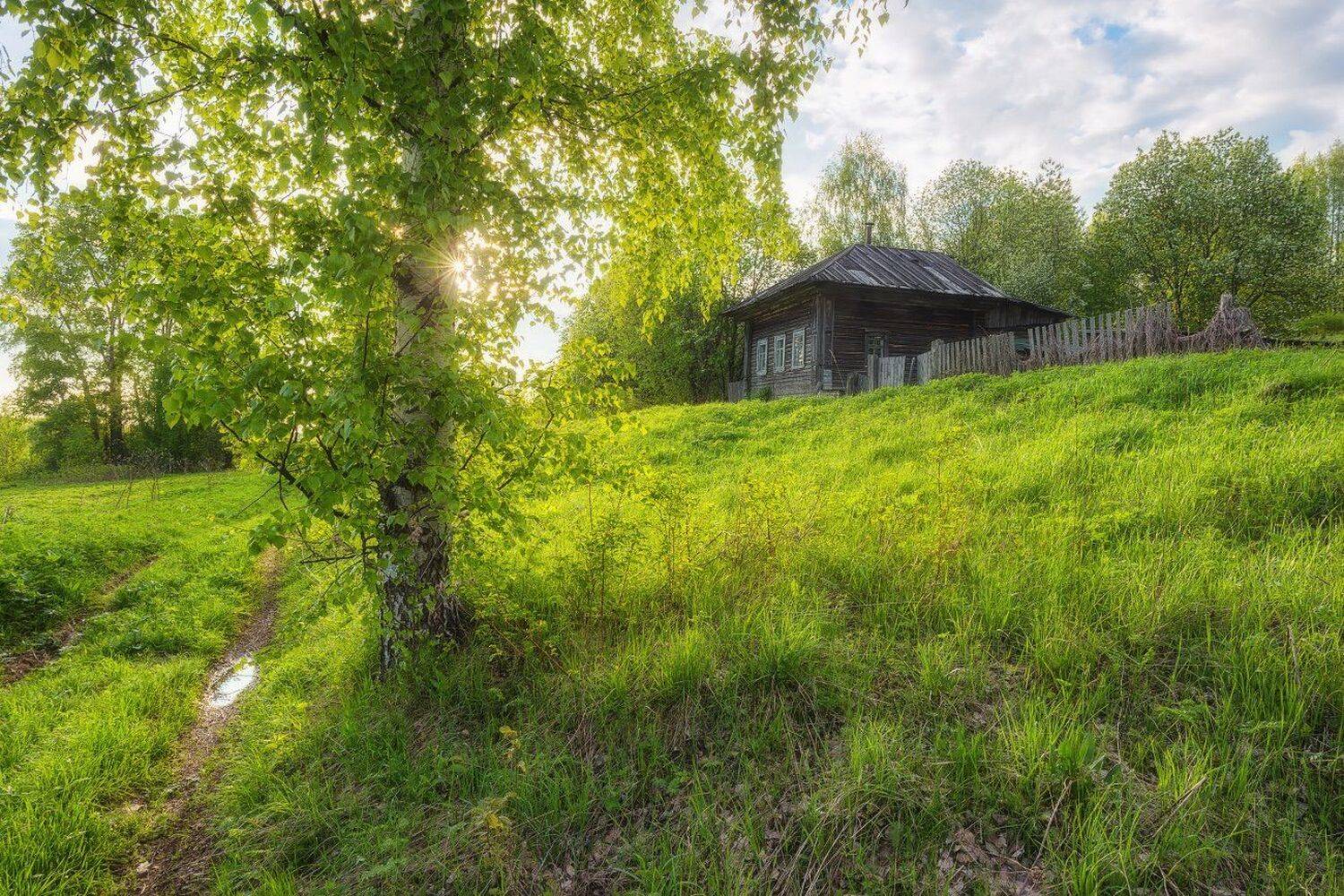 , Устюжанин Михаил