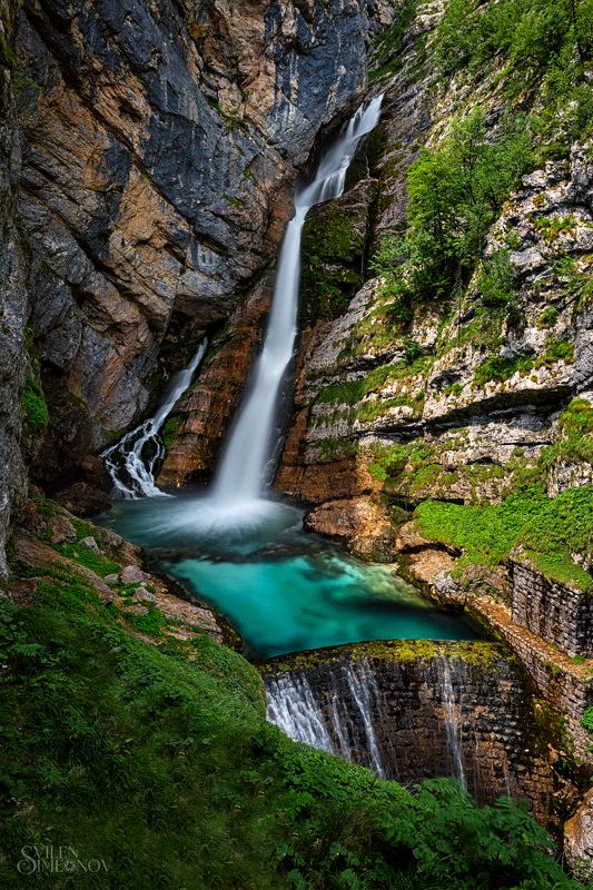 Савица фото превью