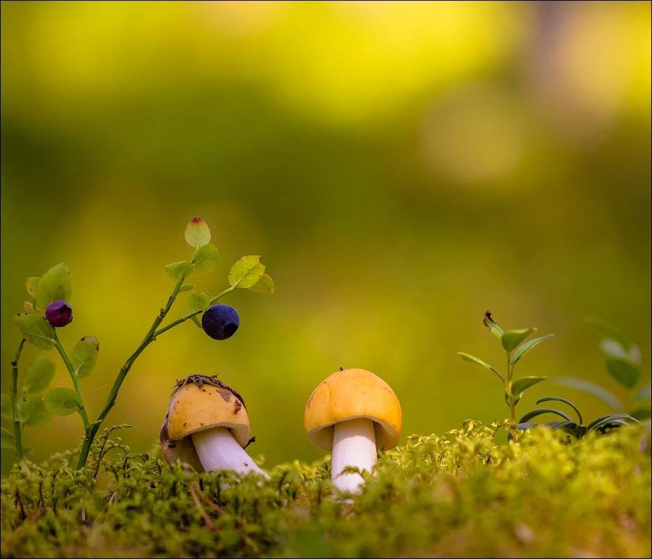 ..., Бурлов Андрей