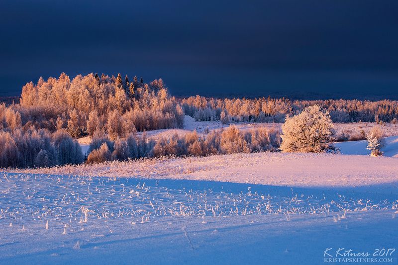 snow oak forest tree blue white winter sky clouds latvia landscape field sun sunset cold Freezy Sunset фото превью