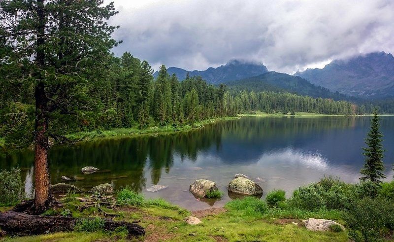 Вокруг Светлого /мобильные фото/ фото превью