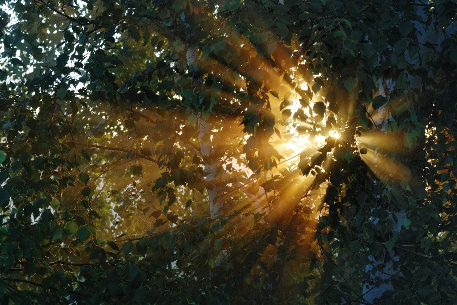 , Андрей Ершов