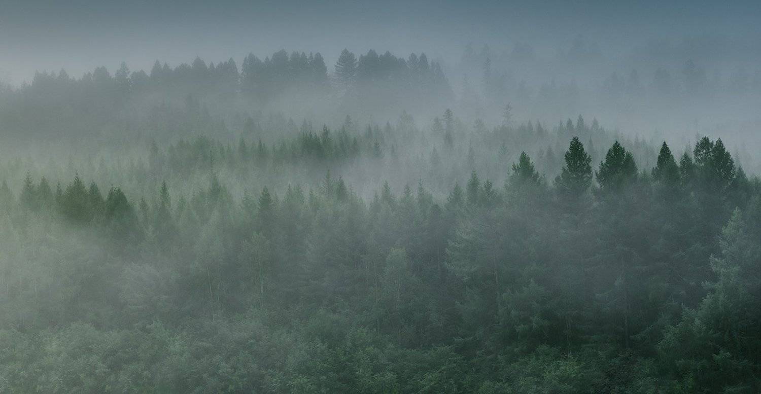 , Дмитрий Демидчик