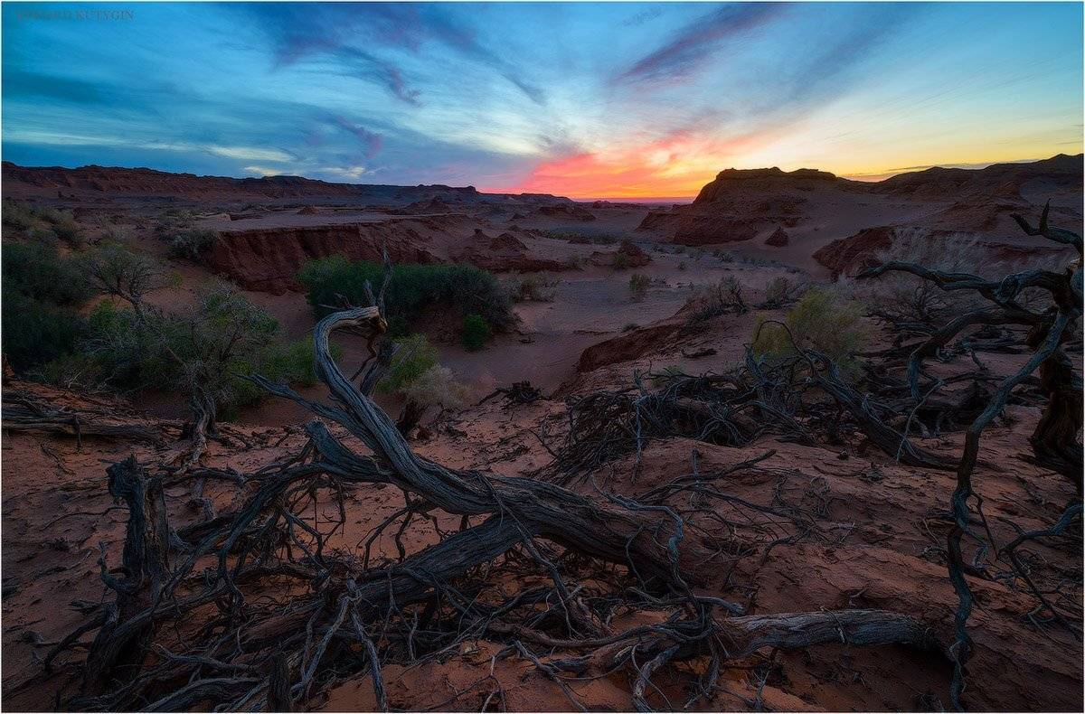 Монголия, херменцав, харманцав, КУТЫГИН, МАЙ, , Кутыгин Эдуард