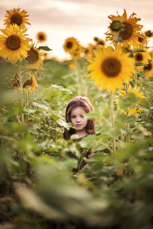 *** фото превью